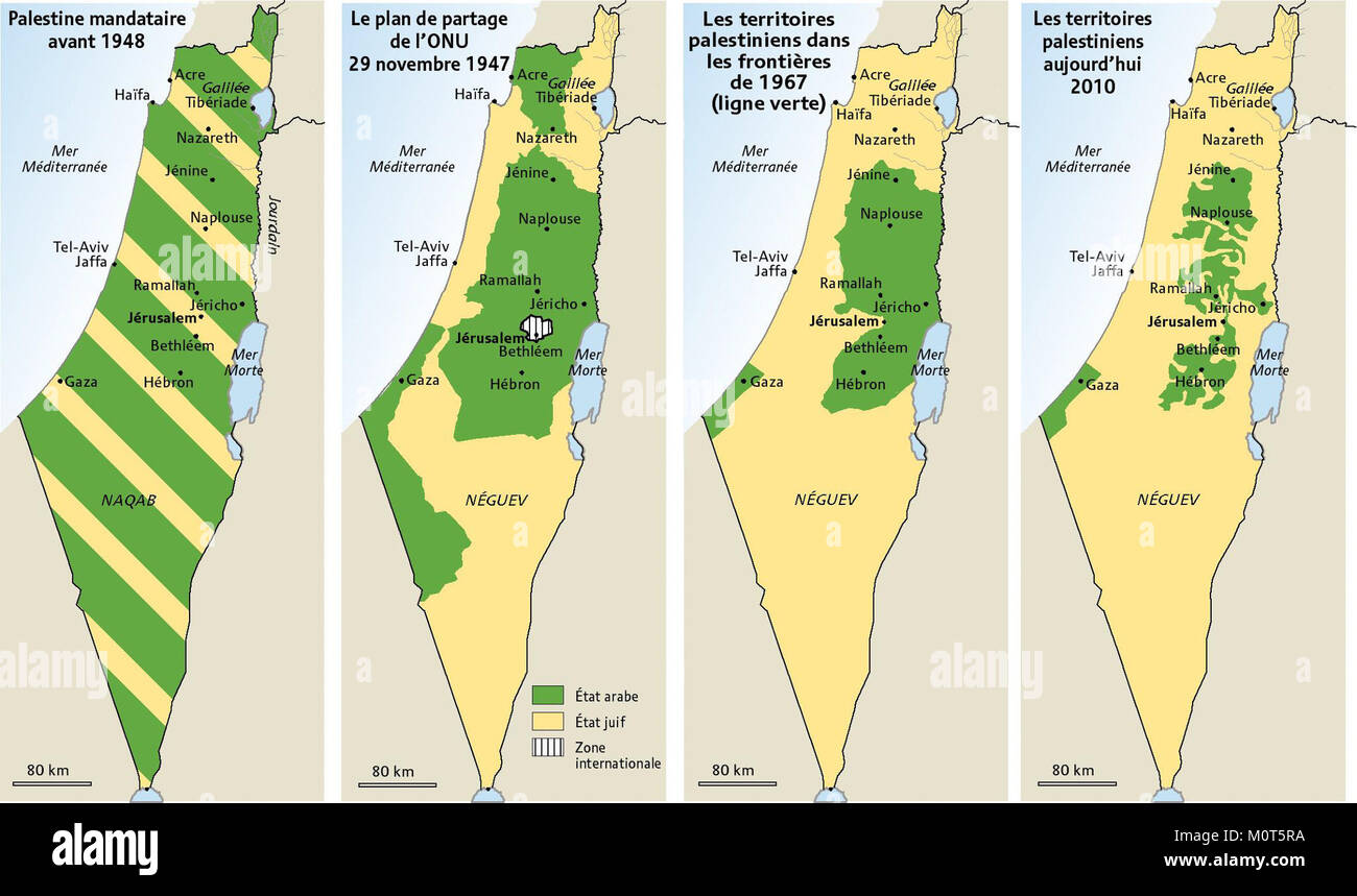 Cette carte montre la configuration géographique de la Palestine en 2010, offrant une représentation détaillée des régions, des frontières et des lieux clés. Banque D'Images