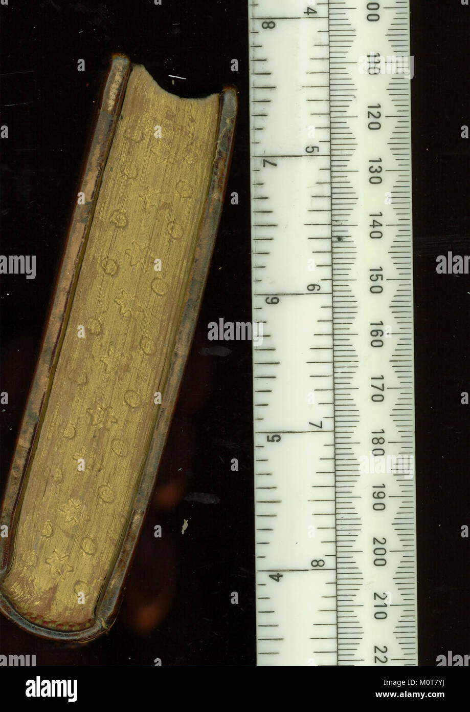 Le Catalogus familiae totius Aulae Caesareae est un texte historique documentant la famille et la lignée de la cour du Saint-Empire romain germanique. Il est relié à deux autres textes et fait partie d'une collection académique. Banque D'Images