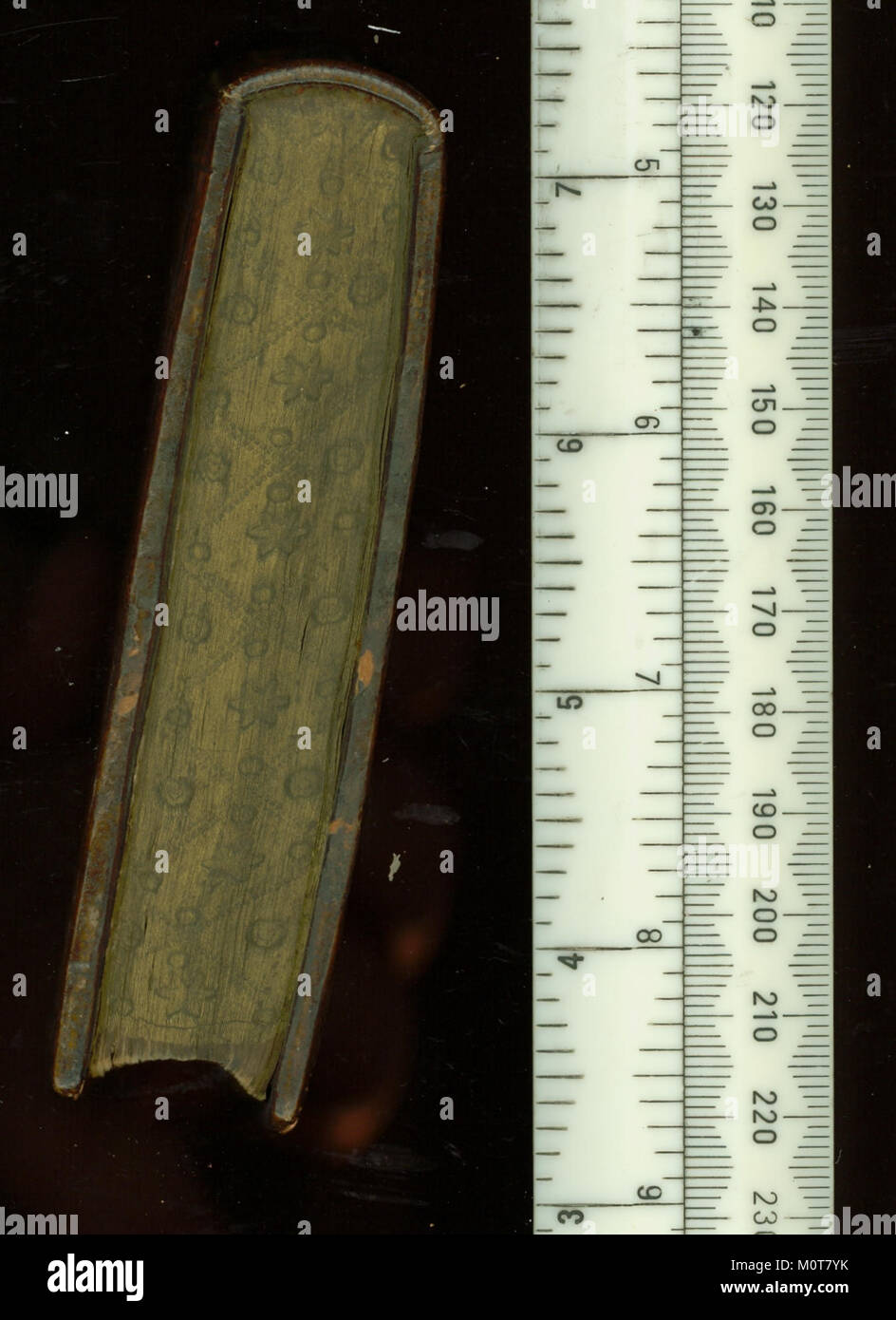 Un catalogue énumérant les membres de la famille de toute la Cour impériale du Saint-Empire romain germanique, relié à deux autres textes, mettant en évidence les figures historiques et la lignée royale. Banque D'Images