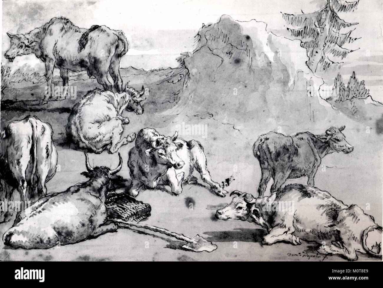 Le bétail dans un paysage rencontré SF-1975-1-529 Banque D'Images