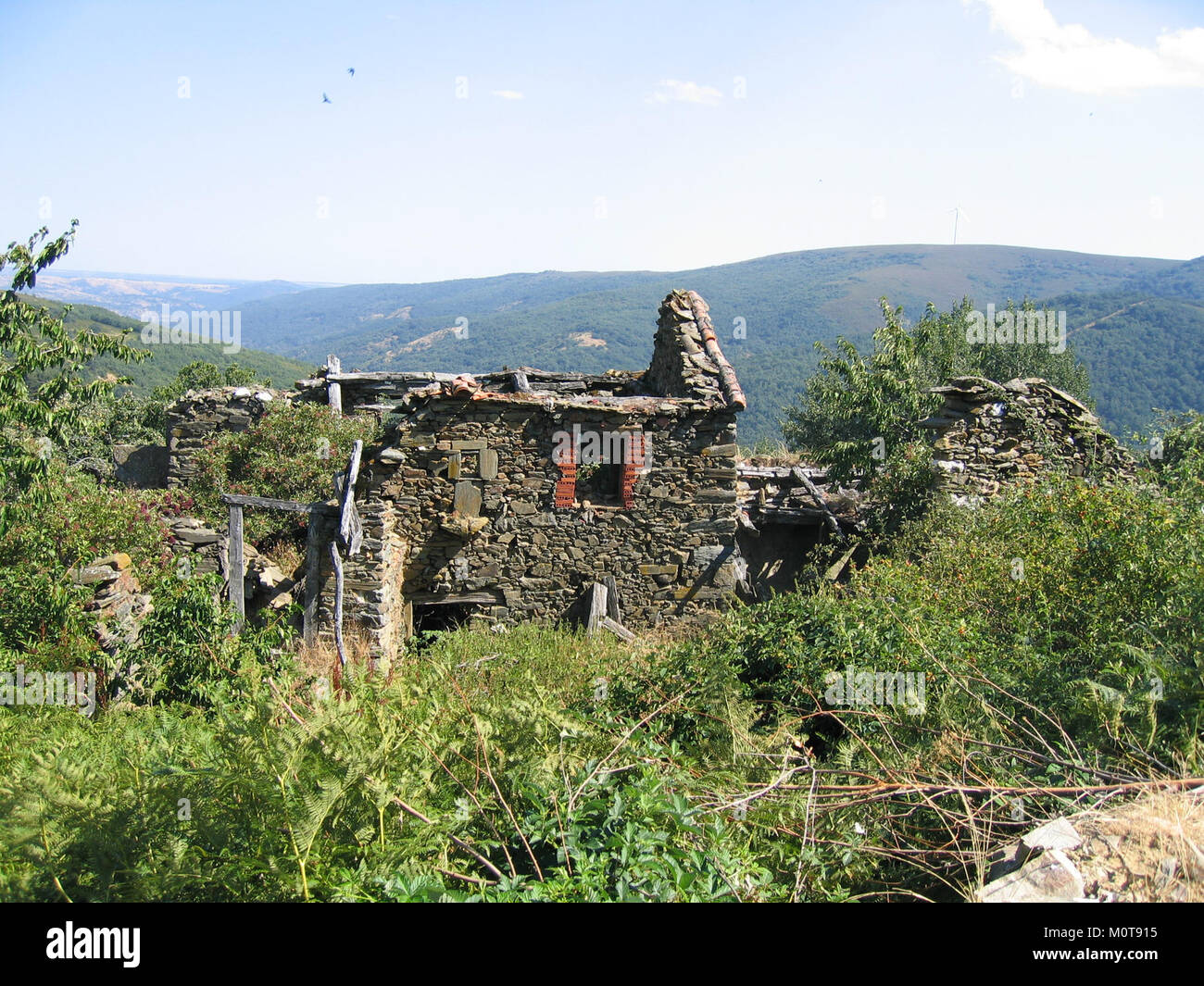 Casa Abandonada Rosales est une maison historique abandonnée située dans une zone rurale, connue pour son architecture en décomposition et comme un site d'intérêt culturel dans la région. Banque D'Images Casa Abandonada Rosales est une maison historique abandonnée située dans une zone rurale, connue pour son architecture en décomposition et comme un site d'intérêt culturel dans la région. Banque D'Images