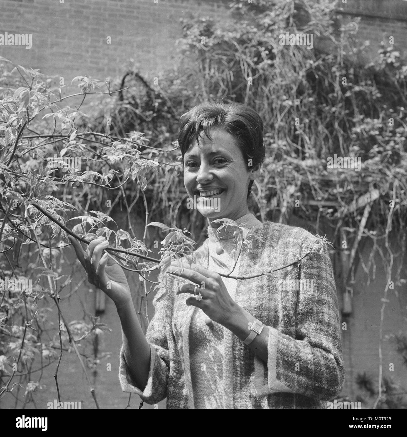 Caterina Valente est une chanteuse, danseuse et actrice italo-allemande connue pour sa carrière polyvalente dans la musique et le divertissement. Elle a gagné la renommée pour ses performances dans les années 1950 et 1960, devenant une figure populaire dans le divertissement européen et international. Banque D'Images