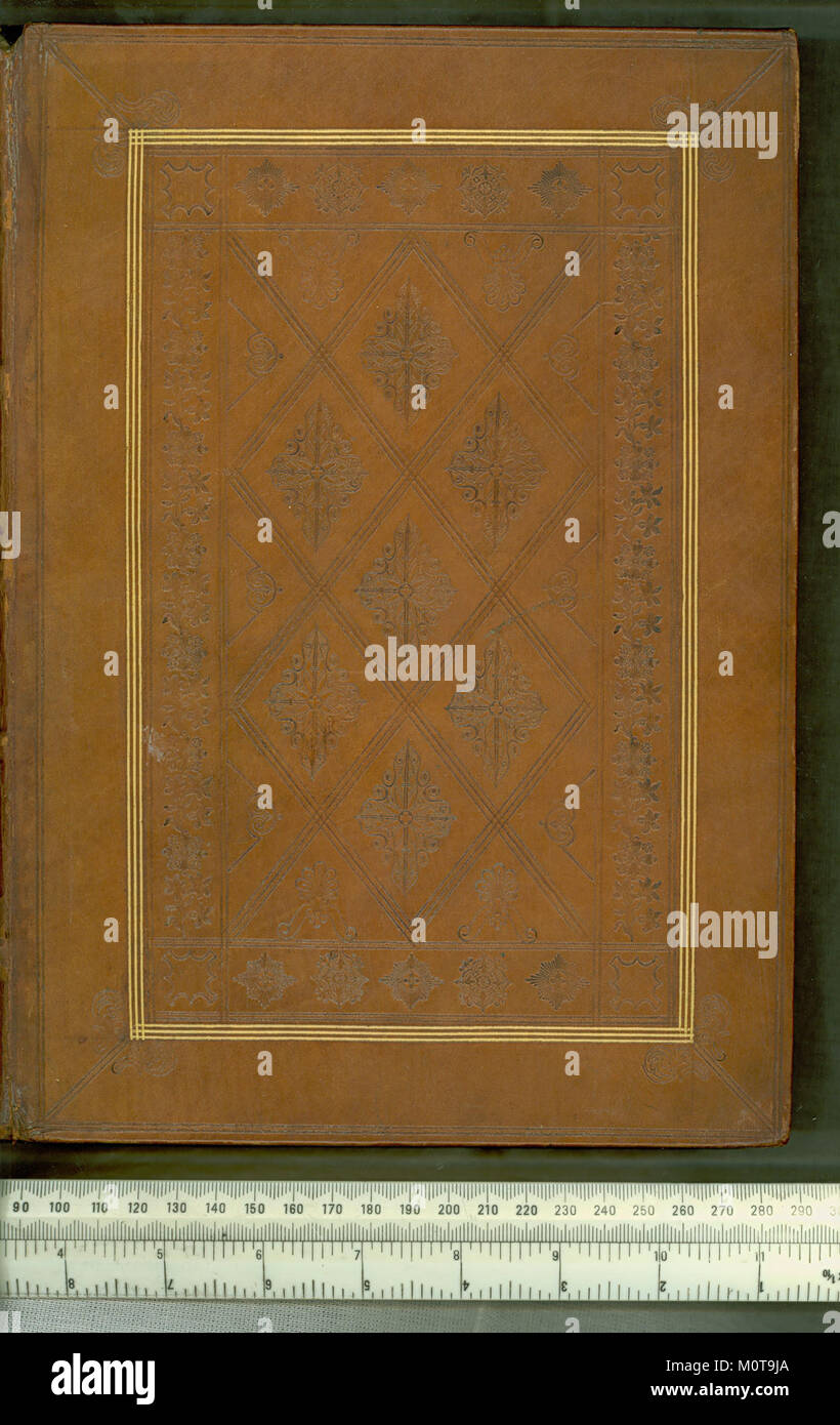 Casus breves super totum Corpus iuris civilis est un texte juridique qui fournit des résumés et des cas relatifs au Corpus Juris Civilis, la collection fondamentale du droit romain. C'est un document historique clé dans les études juridiques et le droit romain. Banque D'Images