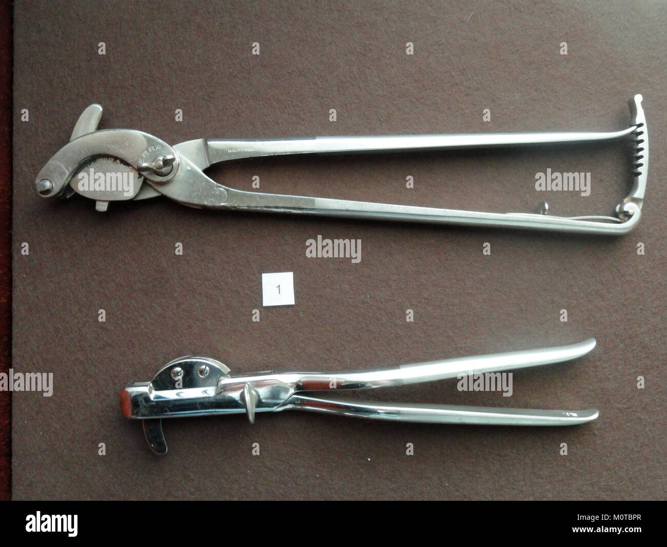 Cette image représente un ensemble d'instruments de castration, catalogués dans la collection Arppeanum. Ces outils médicaux historiques ont été utilisés dans certaines procédures médicales. Banque D'Images