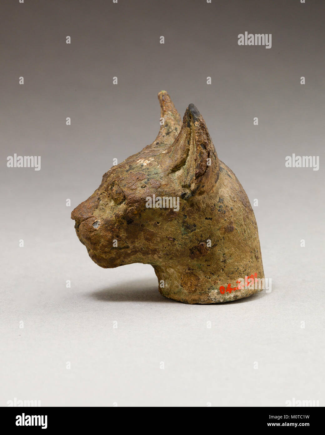 La sculpture en tête de chat, identifiée comme MET 04.2.592 EGDP014385, fait partie de la collection du Metropolitan Museum of Art. Il reflète les anciennes traditions artistiques et la signification culturelle de la représentation animale. Banque D'Images