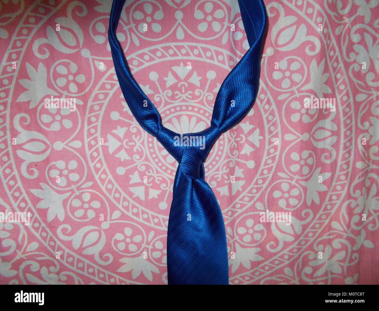 Cape Knot est une caractéristique géographique située le long d'un littoral, souvent caractérisée par sa forme distinctive ou son importance dans la navigation ou l'histoire locale. Il est communément connu comme un point de repère pour les marins et les voyageurs. Banque D'Images