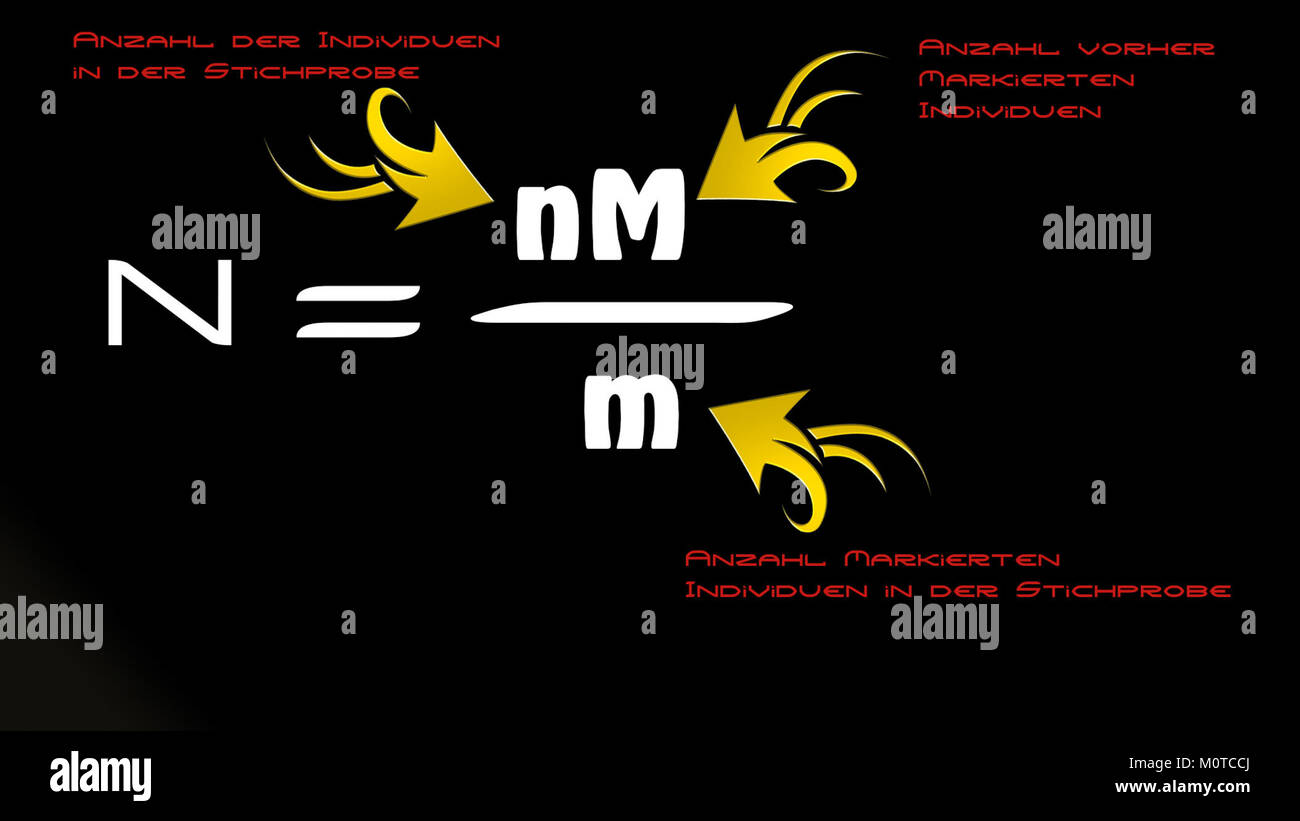 CaptureRecapture est un travail de L.P. Kenan, axé sur l’exploration des thèmes de la surveillance écologique et du suivi des espèces en utilisant la méthode de capture-recapture dans la recherche faunique. Banque D'Images