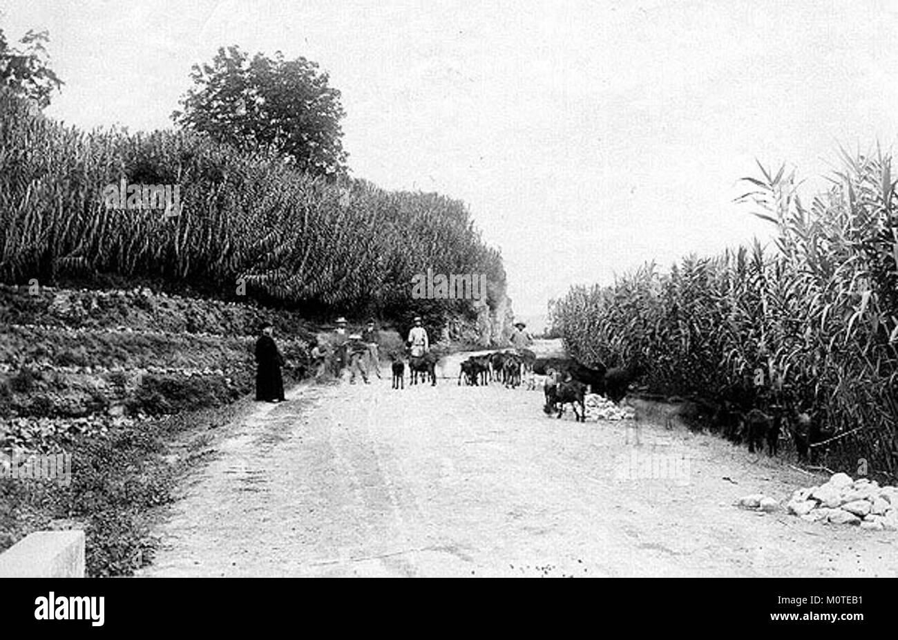 La vieille route de Las Angosturas, une région du Venezuela, est connue pour ses vues panoramiques et son terrain difficile. C'était un itinéraire important pour voyager avant que les systèmes routiers modernes ne soient développés. Banque D'Images