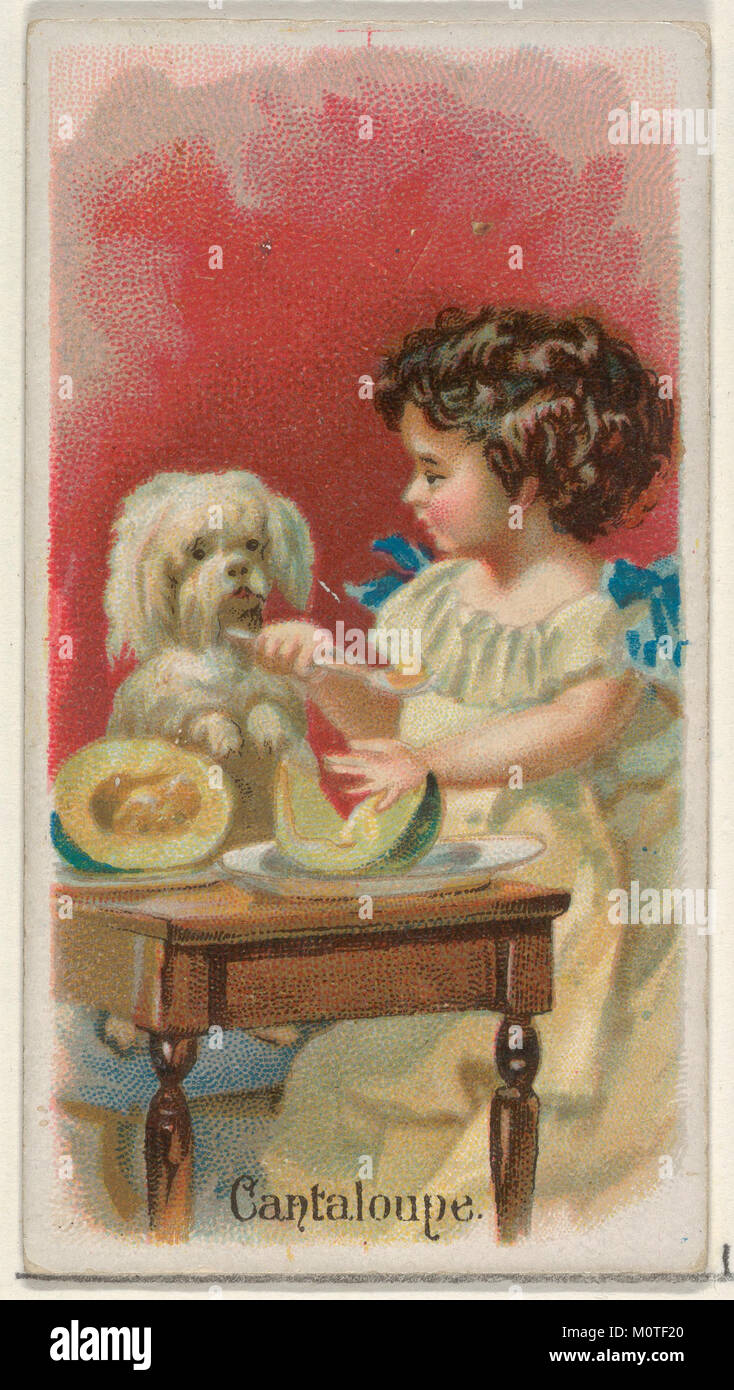 Cette carte de la série fruits présente une représentation détaillée d'un cantaloup, produit par Allen & Ginter pour leur collection de marques de cigarettes. Banque D'Images