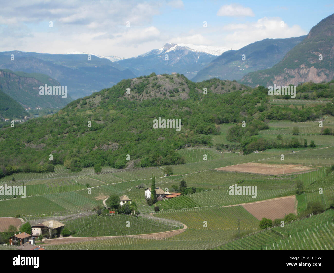 Castelfeder est un site archéologique près de Mazon dans le nord de l'Italie. Connu pour ses ruines antiques, le site possède une valeur historique importante, reflétant le patrimoine culturel de la région et l'histoire romaine. Banque D'Images