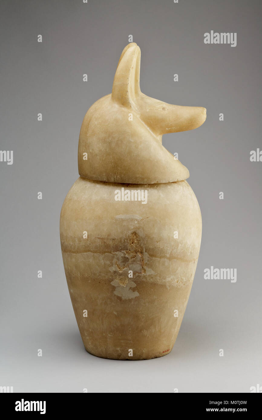 Cet ancien pot canope égyptien est doté d'un couvercle à tête chacale, utilisé pour stocker les organes pendant la momification. C'est un artefact clé de la pratique funéraire égyptienne antique et donne un aperçu de leurs rituels funéraires et croyances sur l'au-delà. Banque D'Images