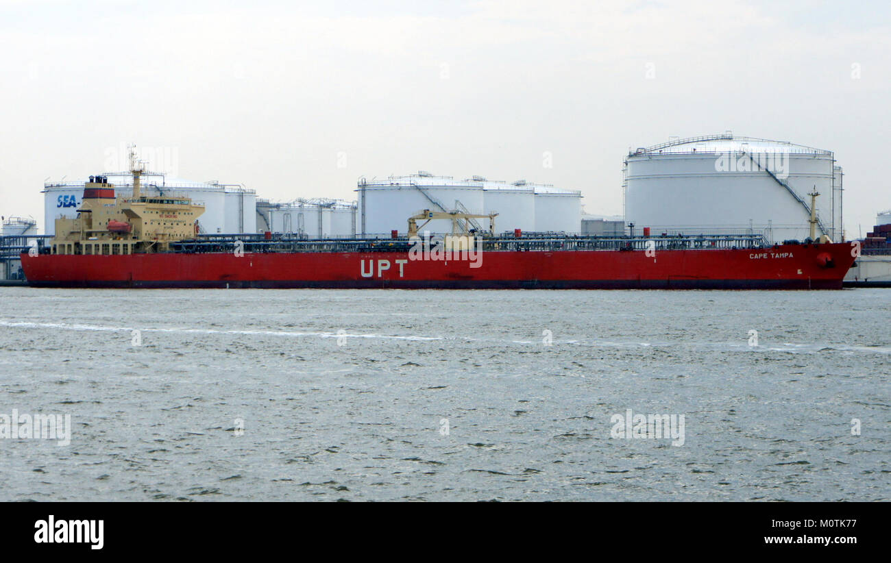 Le navire Cape Tampa, identifié par l'OMI 9441166, est situé dans le port d'Anvers, soulignant son rôle dans la navigation maritime et le commerce international. Banque D'Images