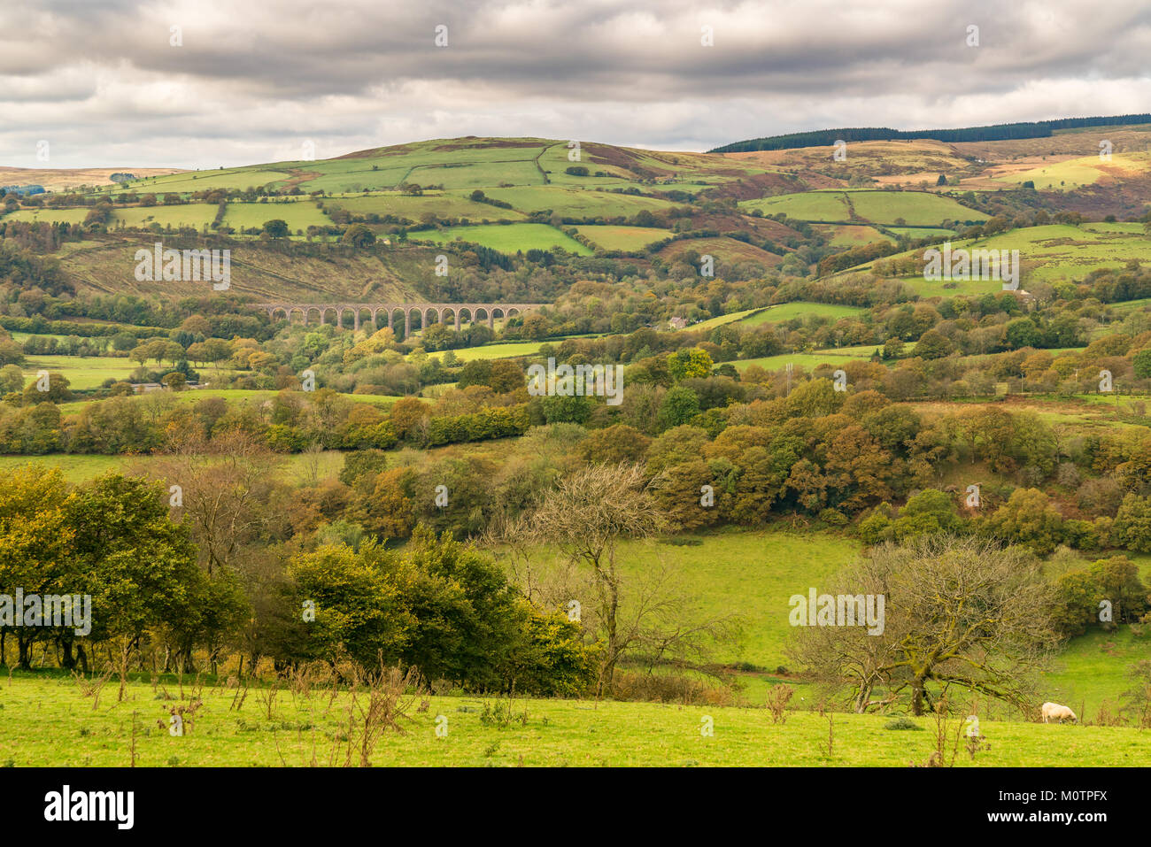 Paysage près de Cynghordy dans Carmarthenshire, Dyfed, Wales, UK - avec l'Cynghordy viaduc de chemin de fer dans l'arrière-plan Banque D'Images