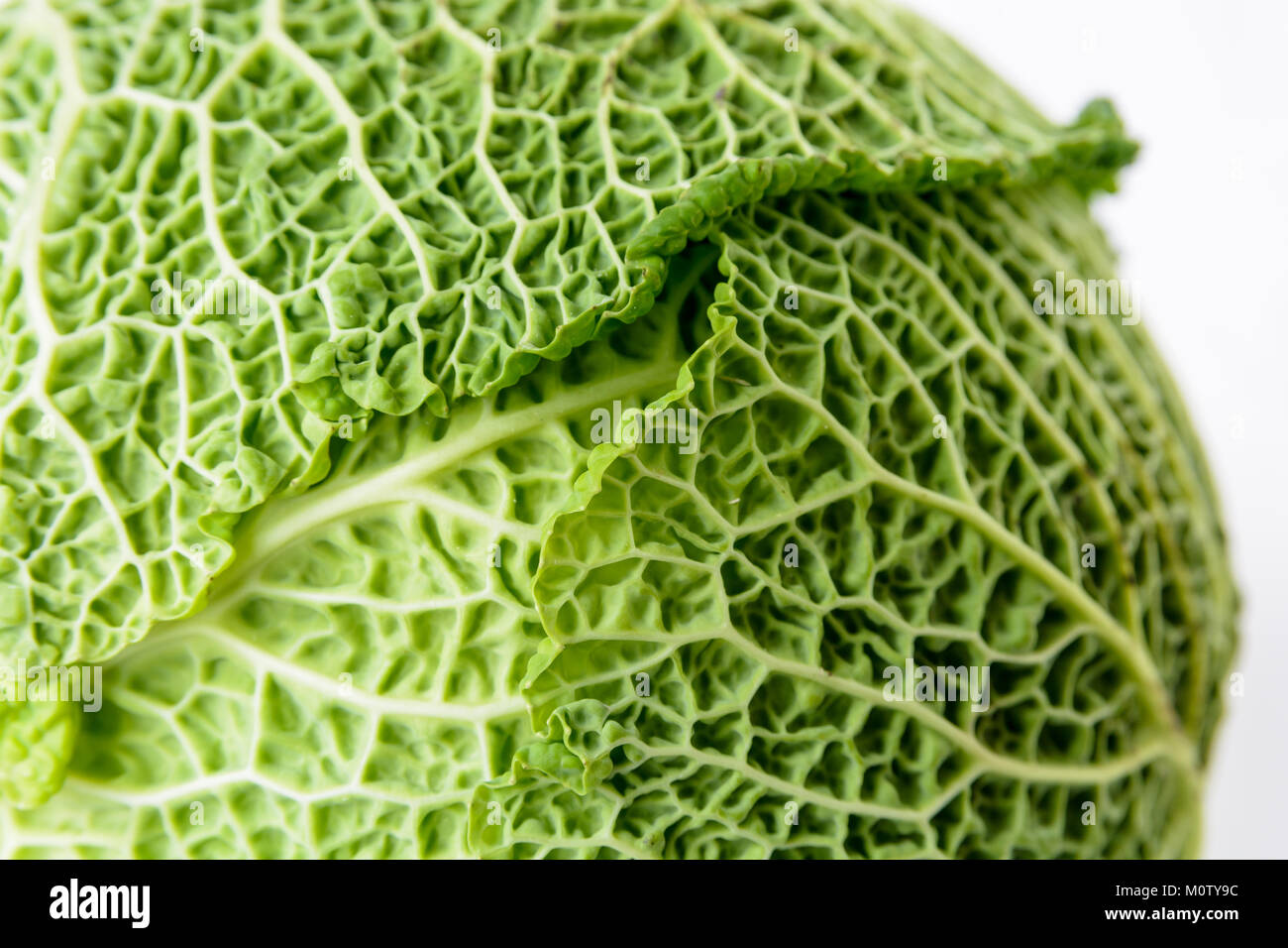 Vue rapprochée de la structure d'un chiffonné feuille de chou vert. Banque D'Images