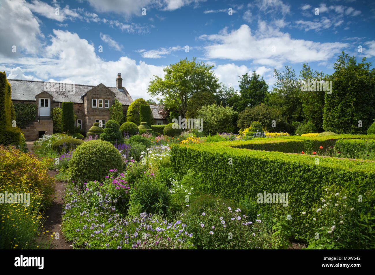 La plantation d'herbacées colorées et l'if à l'intérieur de la couverture de maison Herterton Jardin de fleurs, Northumberland, Angleterre. Banque D'Images