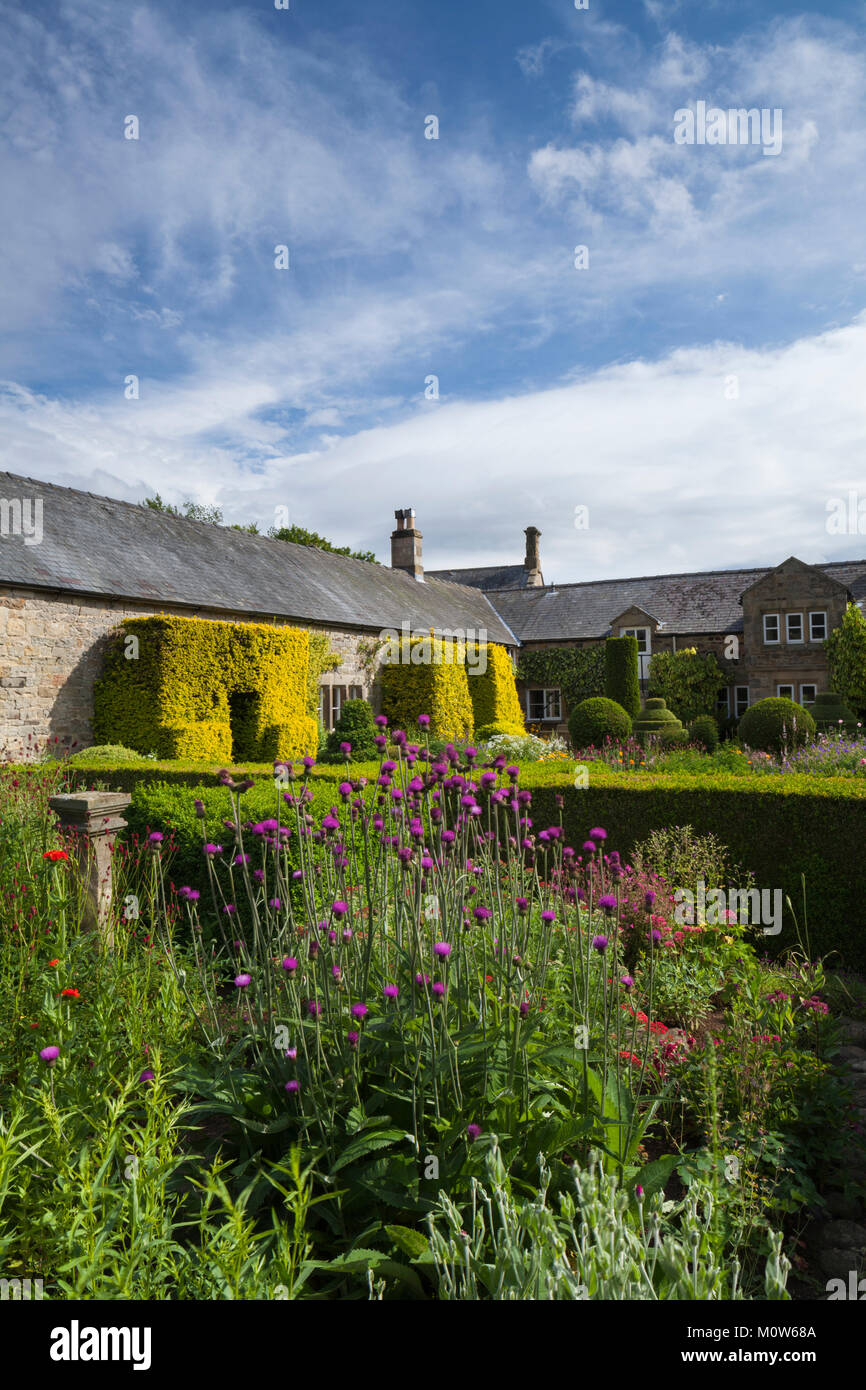 Plantes colorées fleurs poussent à l'intérieur d'une frontière fermée par l'intérieur de la couverture d'if jardin fleuri de Herterton House dans le Northumberland, en Angleterre. Banque D'Images