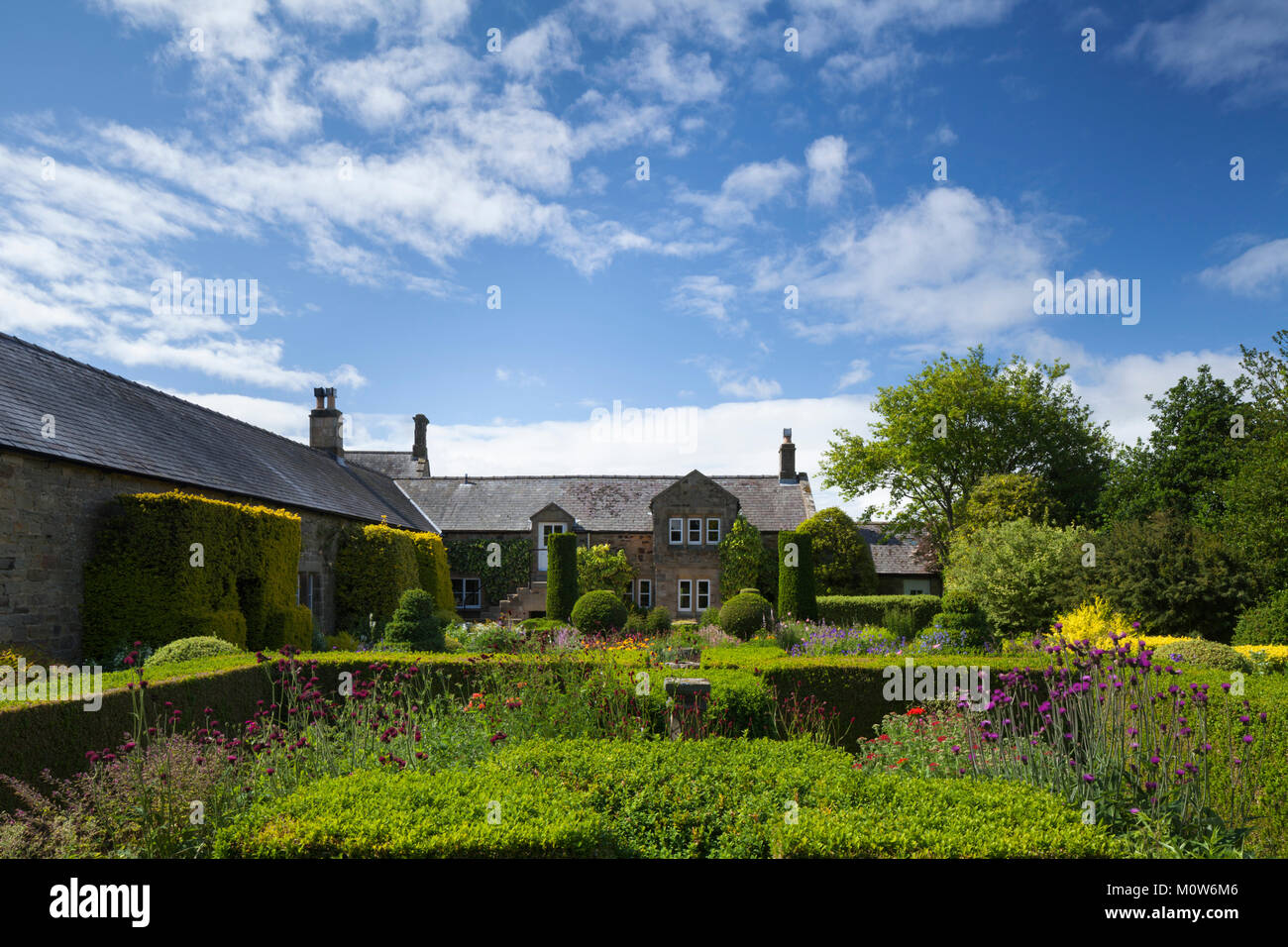 Le jardin de fleurs colorées de maison Herterton avec ses haies d'ifs et de topiaires et de l'ancienne maison longue Tudor, Hartington, Northumberland, Angleterre. Banque D'Images