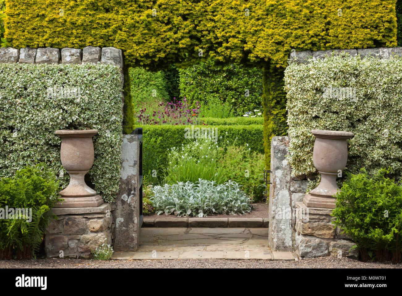 Entrée du jardin fleuri de maison Herterton en été, encadrées par un haut mur de pierre et l'if hedge arche près de Cambo, Northumberland, Angleterre. Banque D'Images