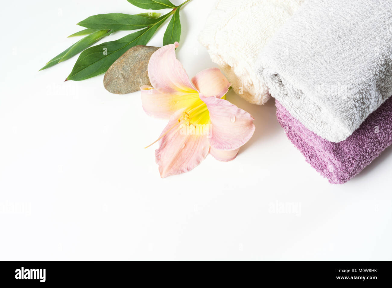 L'établissement Spa de serviette, lilac flower isolated on white background with copy space. Banque D'Images