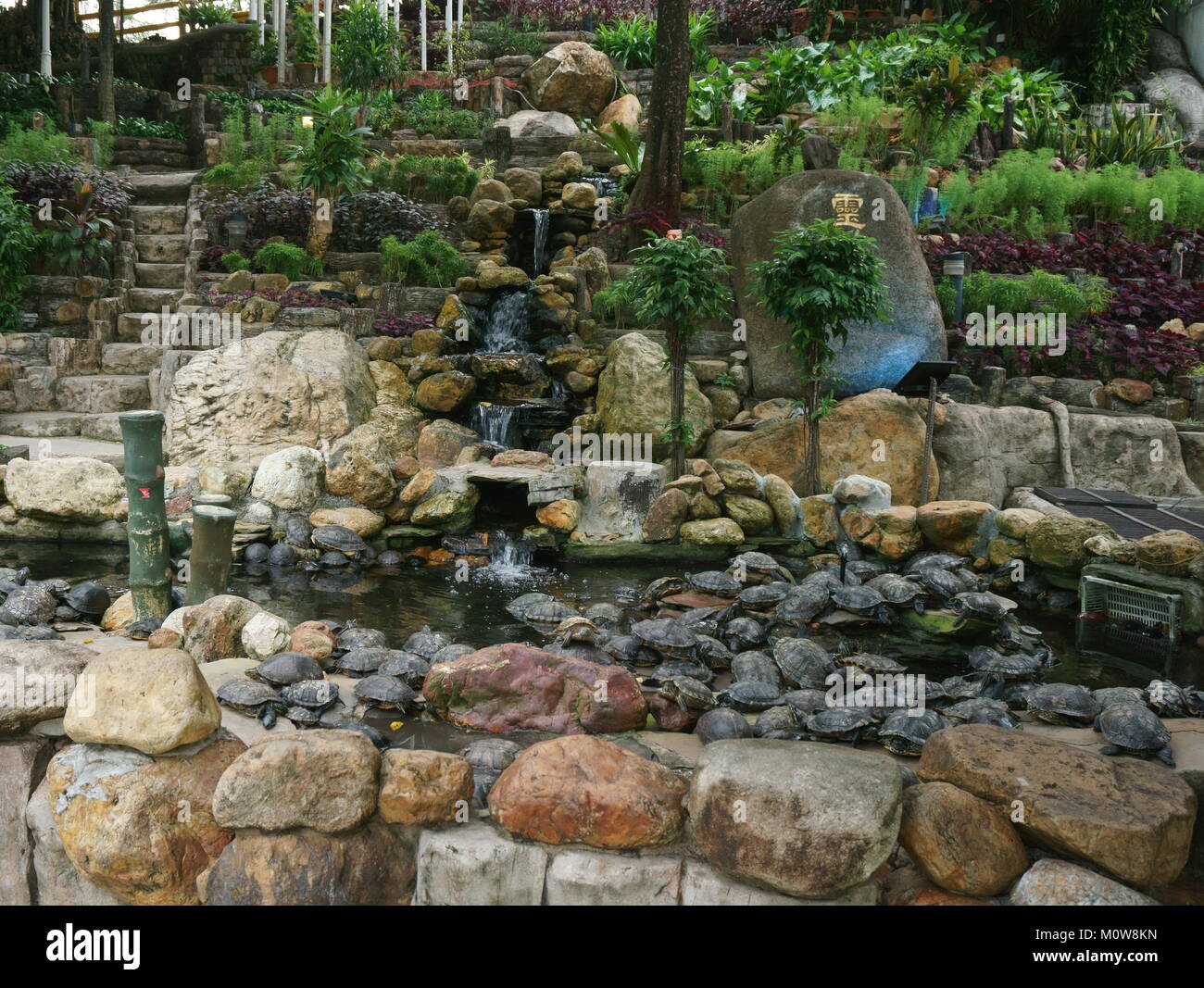 Tortues en jardin feng shui chinois Banque D'Images