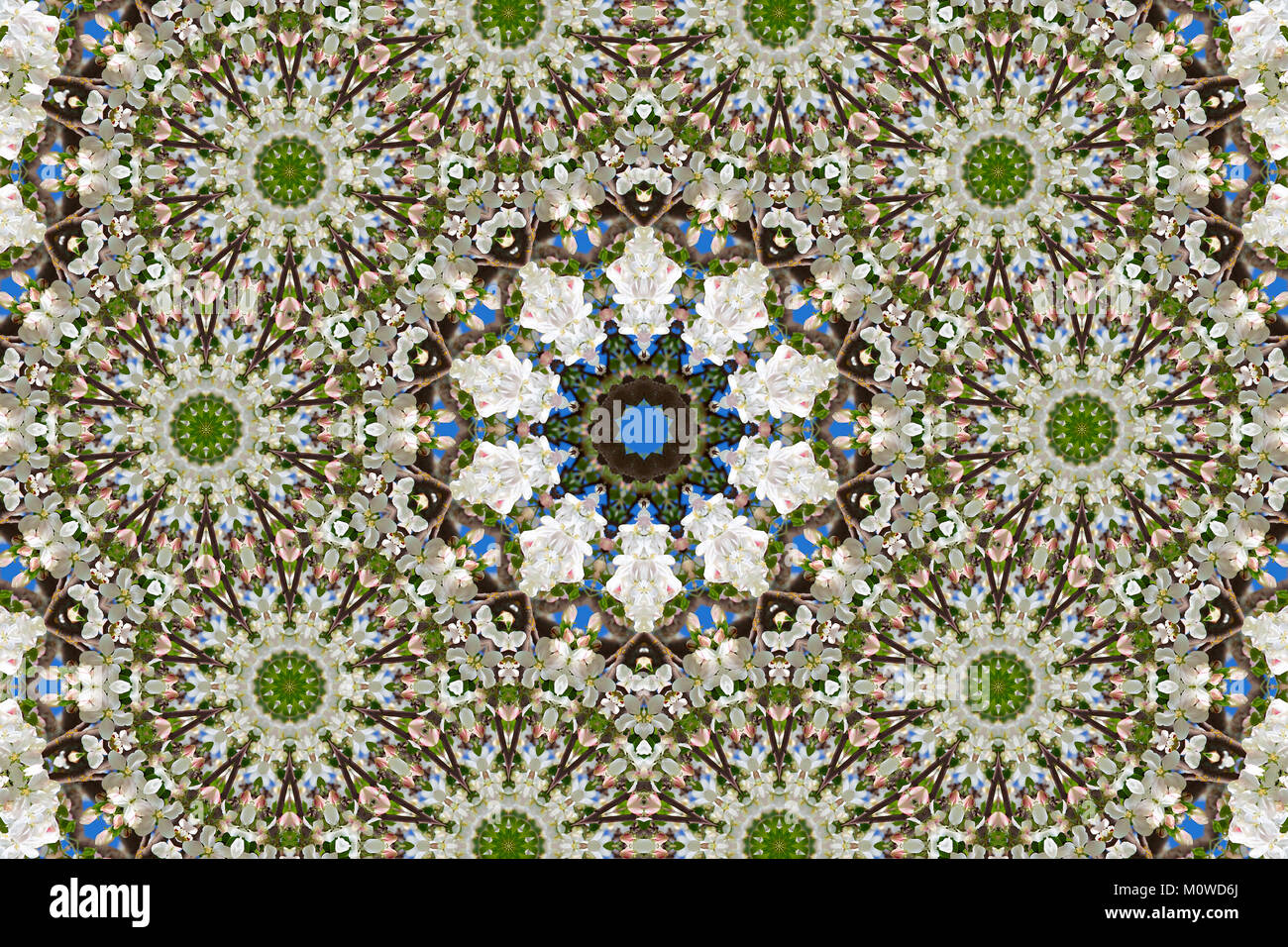 Résumé fond de modèle floral d'un kaléidoscope. blanc bleu fond vert mandala fractale kaléidoscopique. Résumé géométrique ou arabesque. Banque D'Images