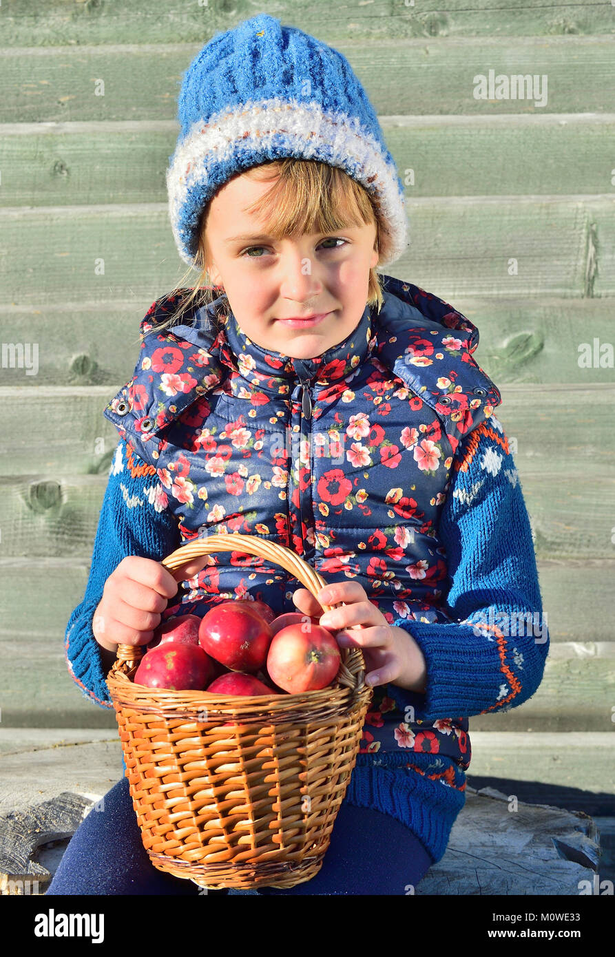 La cueillette des pommes dans une ferme à l'automne. Petite fille jouant dans apple tree orchard. Les enfants cueillir des fruits dans un panier. Plein air pour les enfants. Nu en bonne santé Banque D'Images