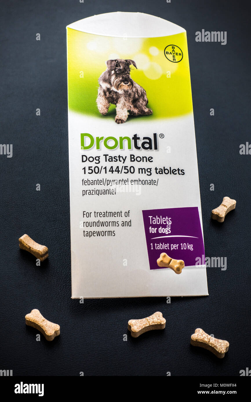 Drontal 'Dog' os savoureux comprimés par Bayer. Pour traiter la plupart des types de vers chez les chiens, y compris les vers ronds, les ankylostomes, trichures ténias et. Banque D'Images