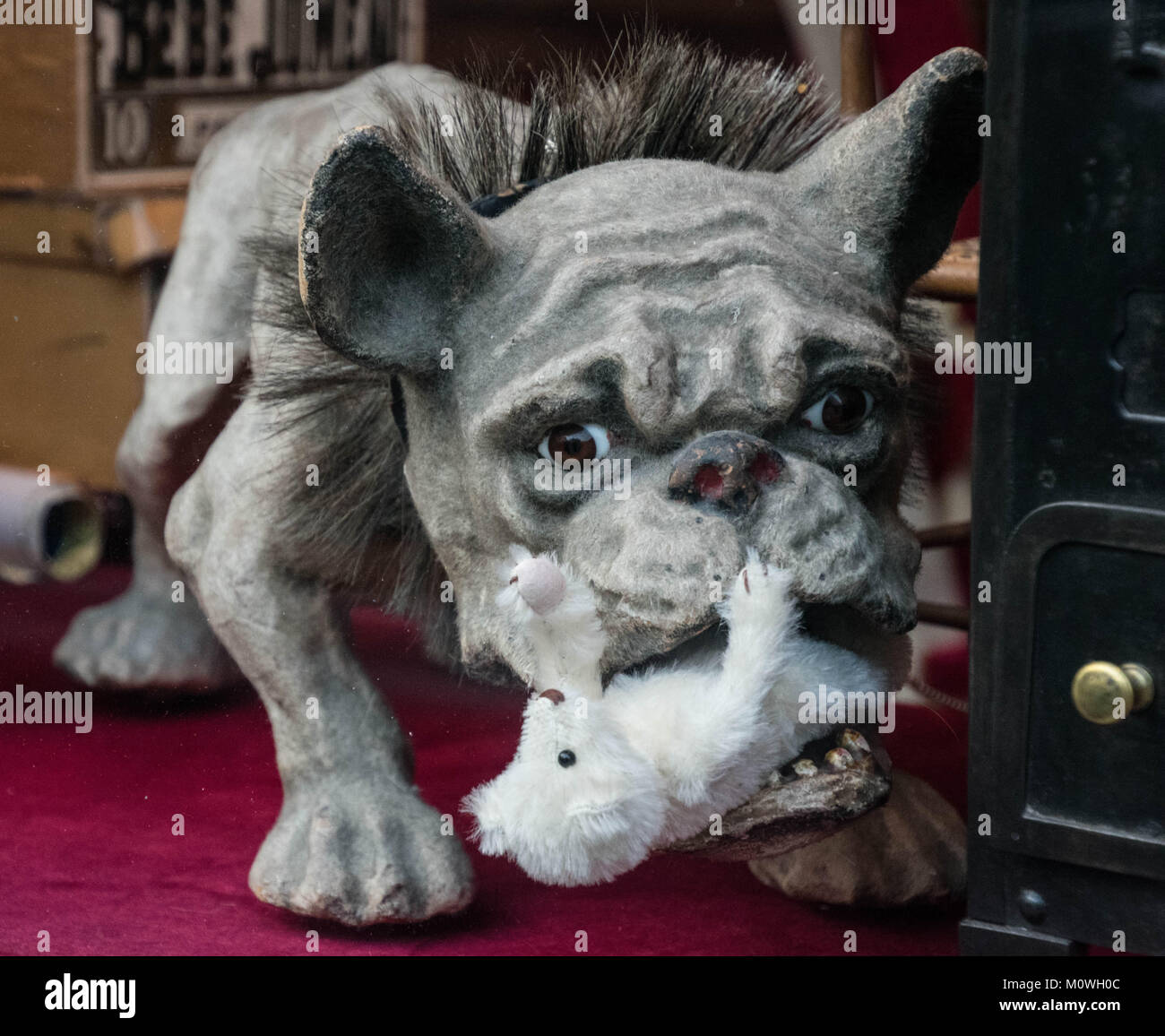 Statue chien bizarre dans un magasin d'antiquités à Paris France Banque D'Images