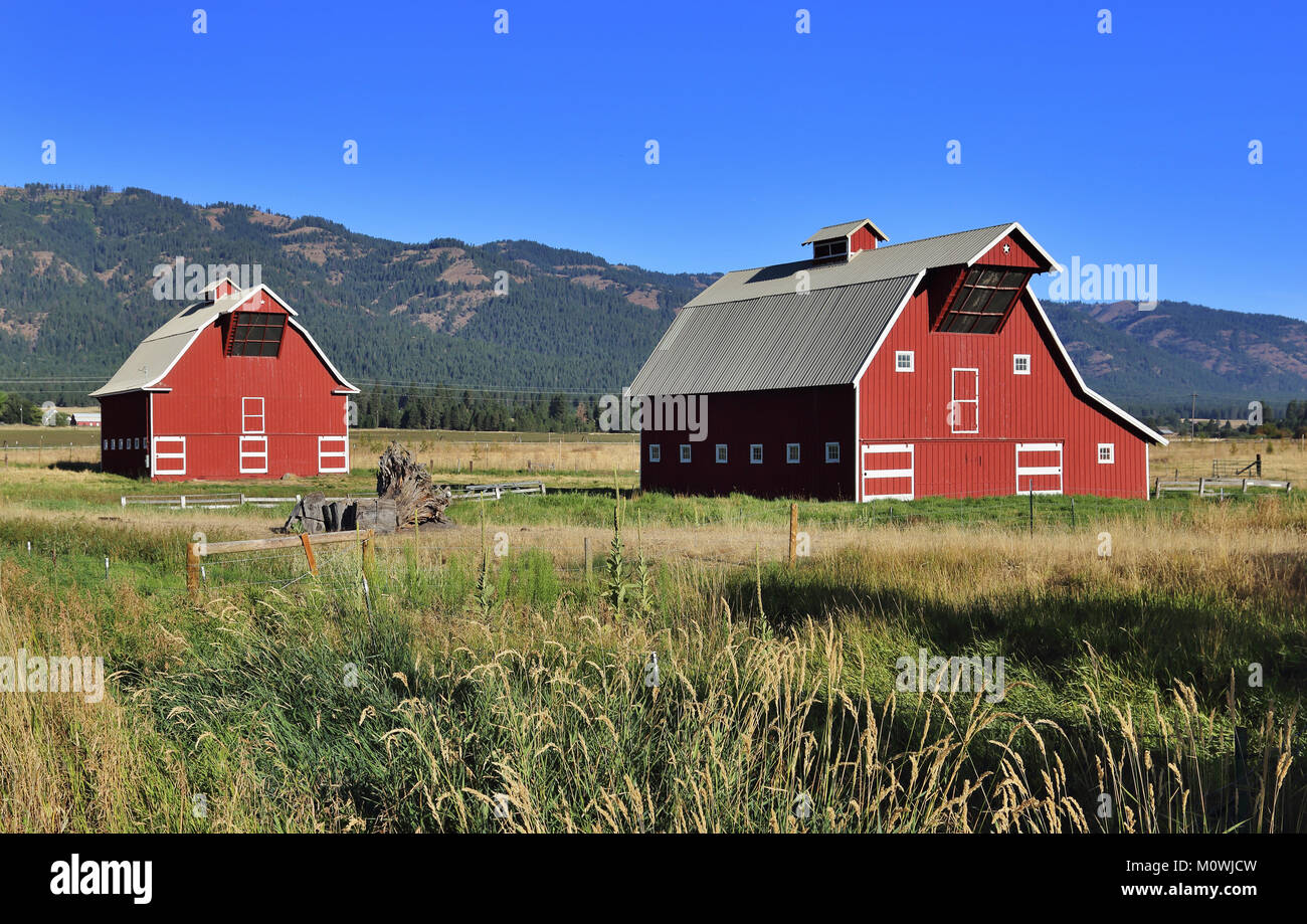 Deux granges situé près de la ville de Midland, Oregon. Banque D'Images