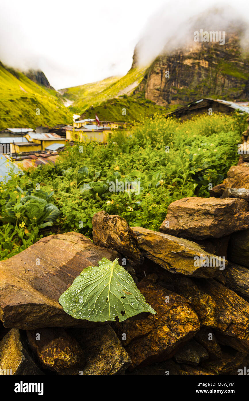 Dernier village de l'Inde vers la Chine a appelé MANA près de la ville sainte de Badrinath dans l'Uttarakhand. Belle, Nature, Ganges, Ganga , brouillard , misty quaint Banque D'Images