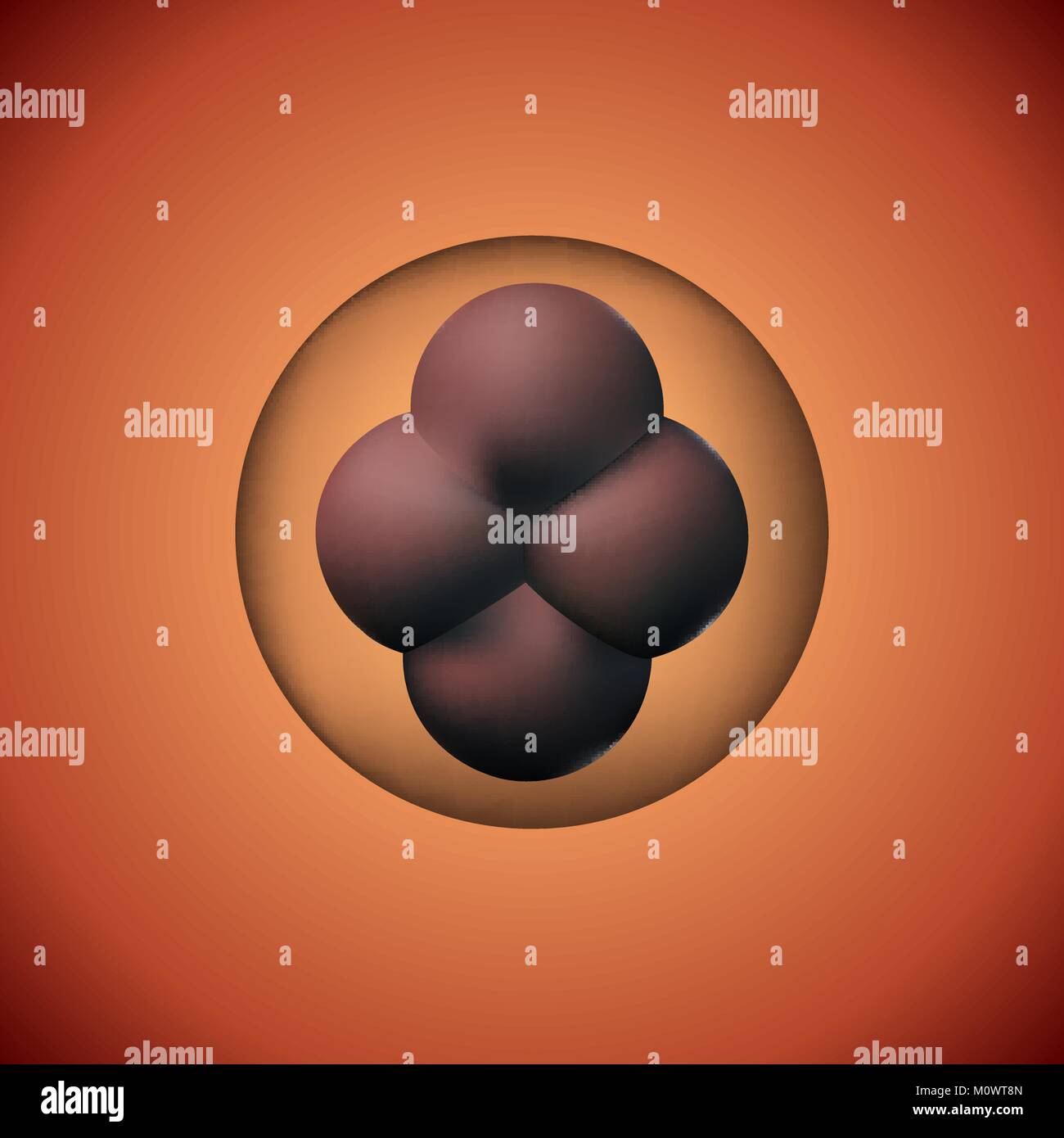 Les zygotes Illustration de Vecteur