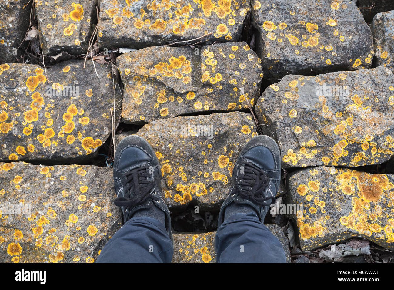 Les pieds mâles en jean bleu et des chaussures de cuir noir se tenir sur des pierres brutes avec lichen jaune Banque D'Images