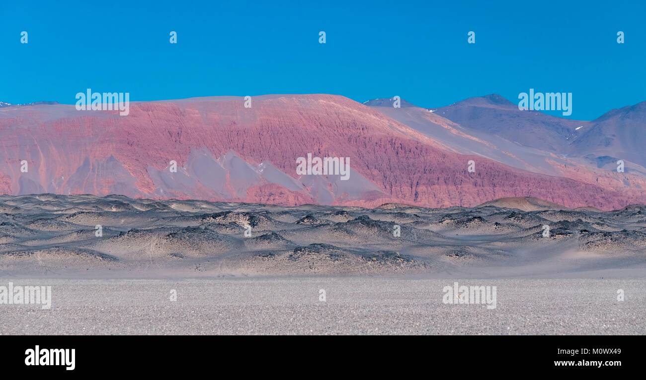 La province de Catamarca, Argentine Puna,desert,EL Penon,Carachi Pampa laguna Banque D'Images