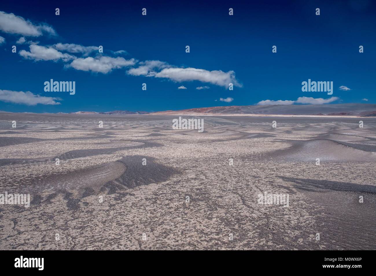 La province de Catamarca, Argentine Puna,desert,EL Penon, dunes de sable, le campo de Piedra Pomez Banque D'Images