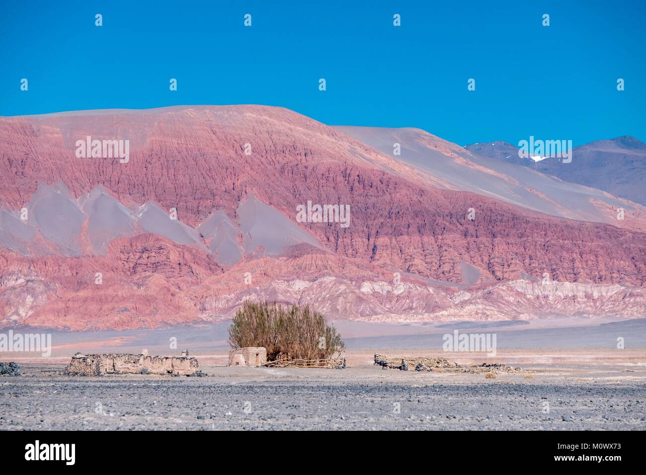 La province de Catamarca, Argentine Puna,desert,EL Penon,Carachi Pampa laguna Banque D'Images