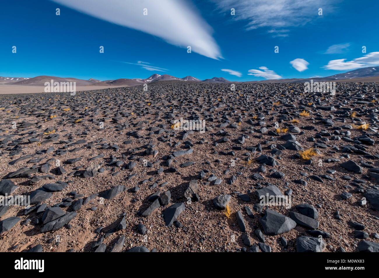 Frontière Argentine Photos Frontière Argentine Images Alamy - 