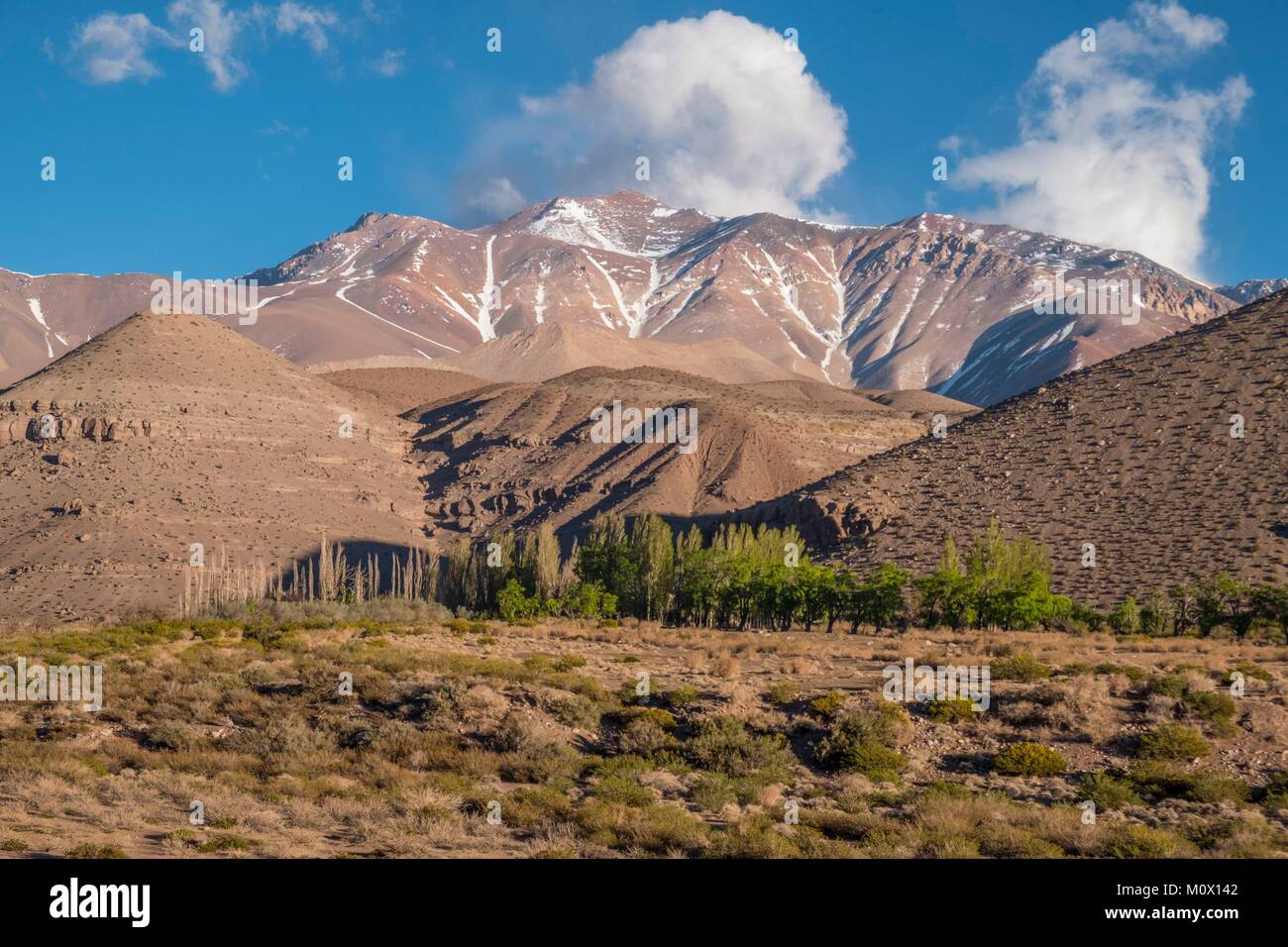 L'Argentine, la Province de San Juan,Barreal, Rio de Los Patos valley Banque D'Images