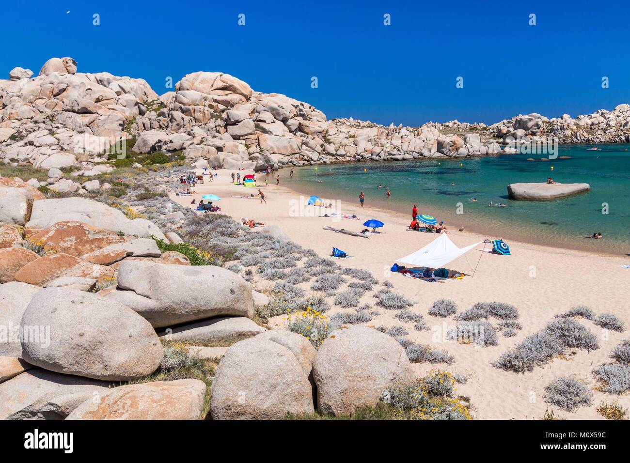 France,Corse du Sud,Bonifacio,réserve naturelle des îles Lavezzi, de la plage de Cala di l' Achiarinu Banque D'Images