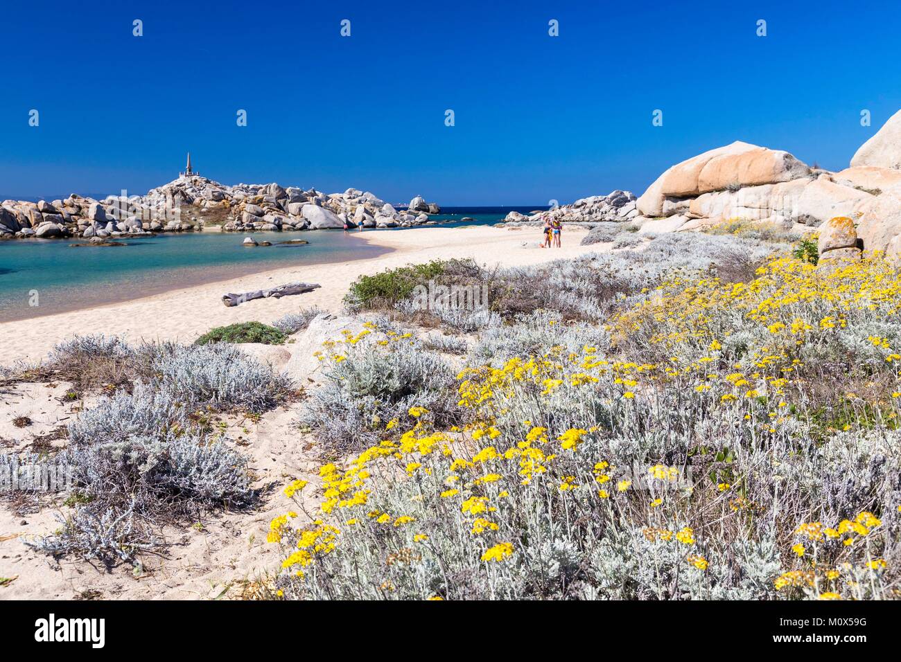 France,Corse du Sud,Bonifacio,réserve naturelle des îles Lavezzi, de la plage de Cala di l' Achiarinu Banque D'Images