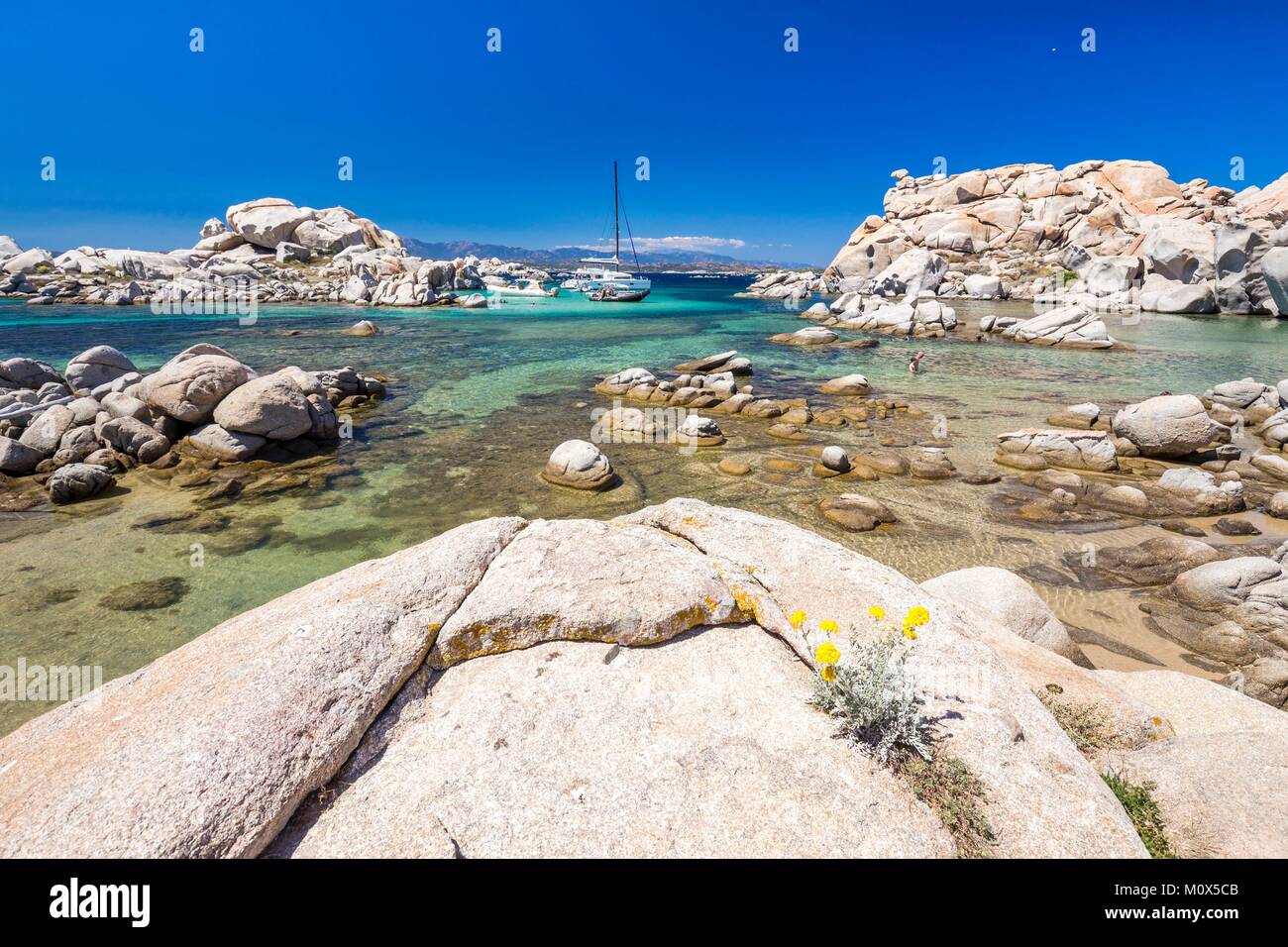 France,Corse du Sud,Bonifacio,réserve naturelle des îles Lavezzi, de la plage de Cala della Chiesa Banque D'Images