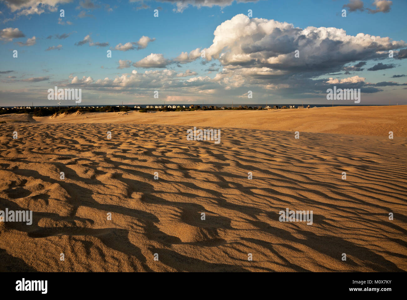 NC01424-00...CAROLINE DU NORD - Le vent sur les dunes de Jockey's Ridge State Park en fin d'après-midi sur les bancs extérieurs à Nags Head. Banque D'Images