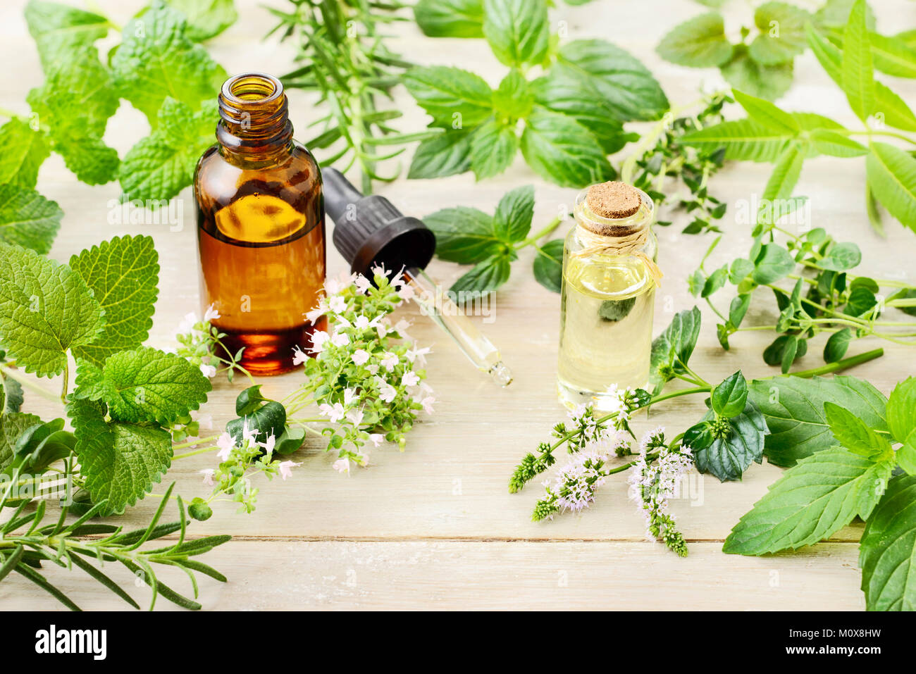 Fines herbes, feuilles, fleurs et huile de massage sur la planche de bois Banque D'Images