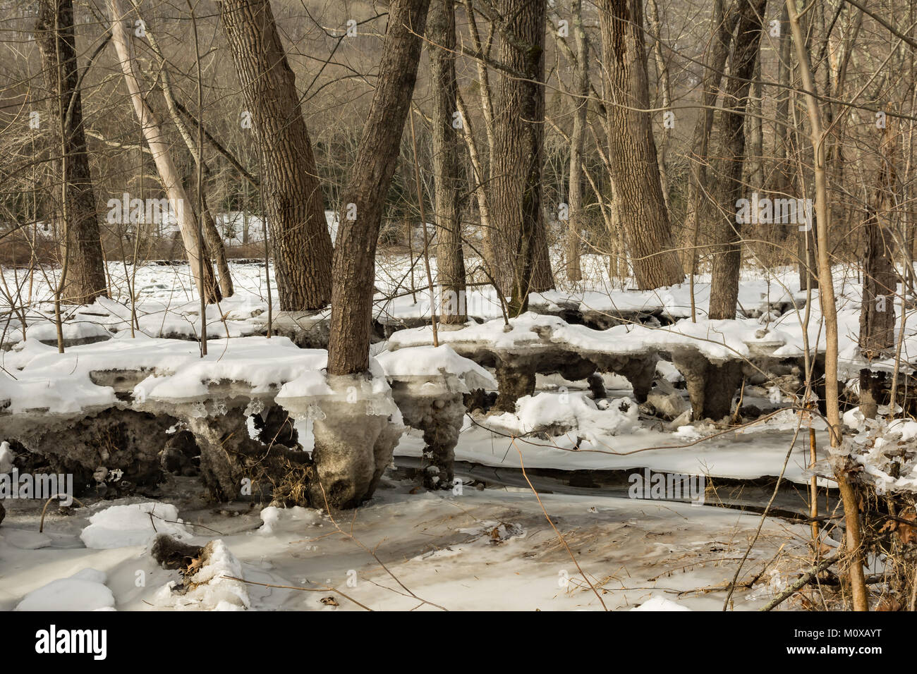Les dégâts d'un embâcle sur la rivière Housatonic Kent dans le Connecticut. Banque D'Images