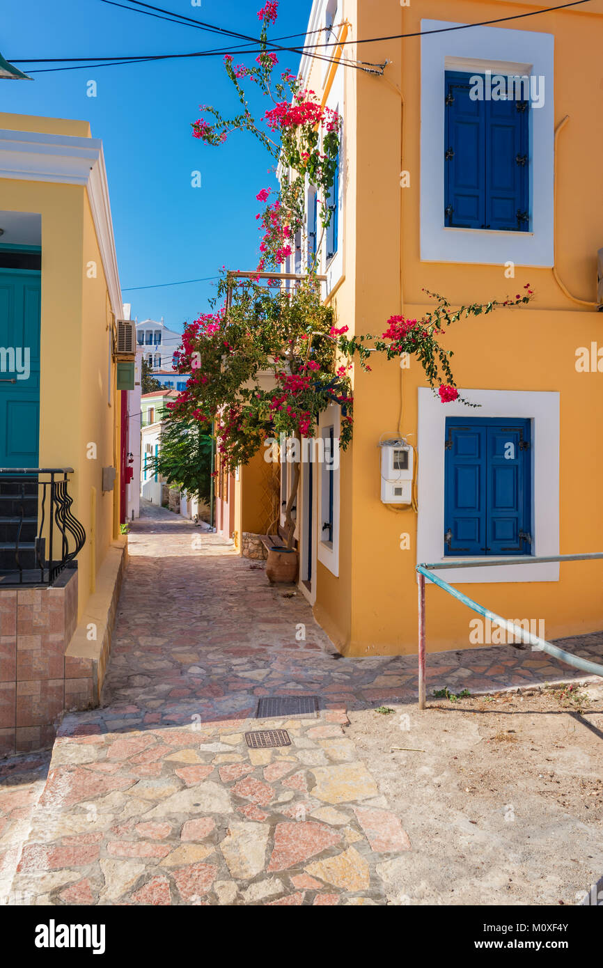 Des fleurs et des murs de maisons néoclassiques dans Nimborio sur l'île de Halki (Grèce) Banque D'Images
