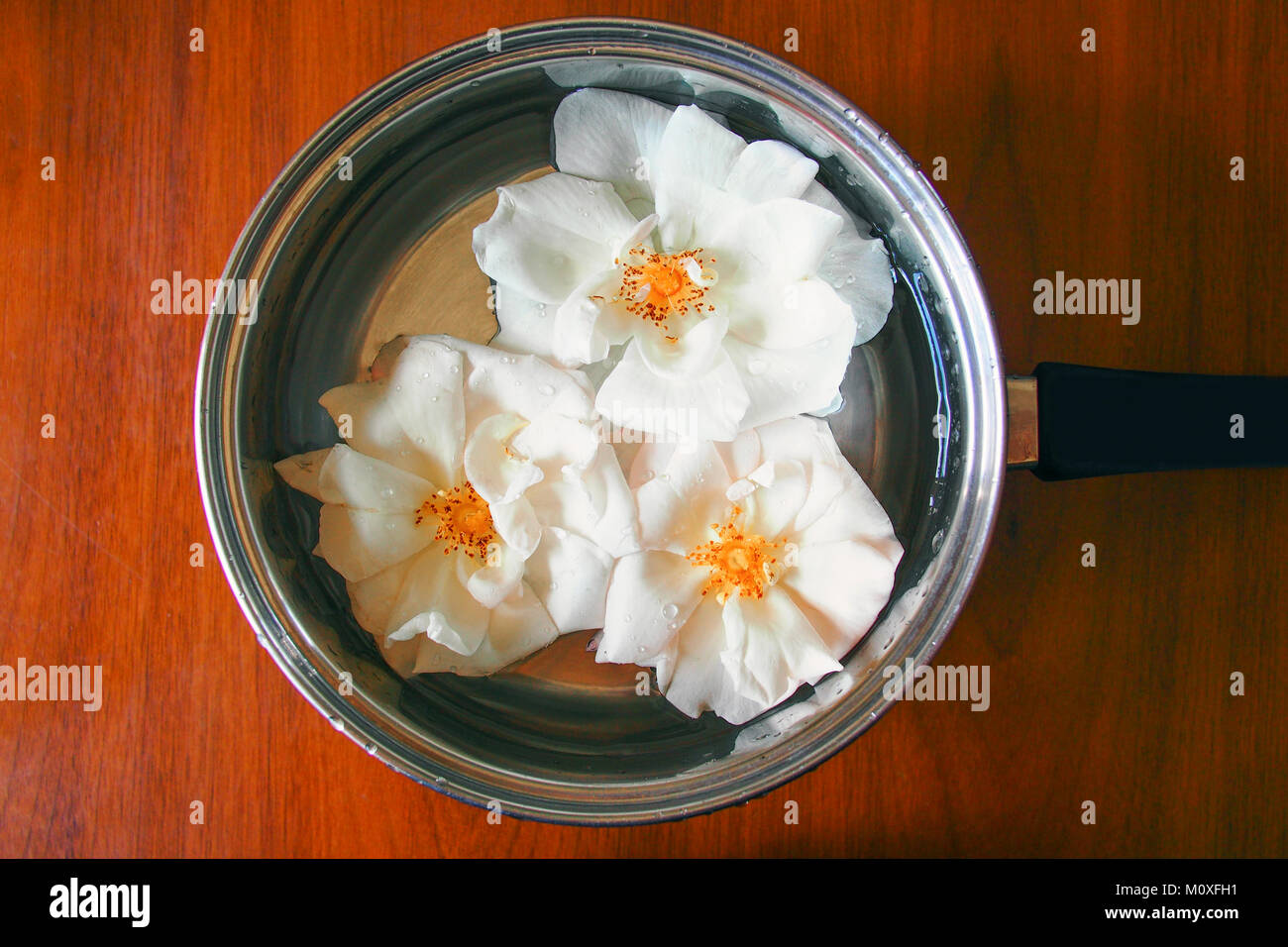 Faire des rose thé, roses blanches dans un pot Banque D'Images