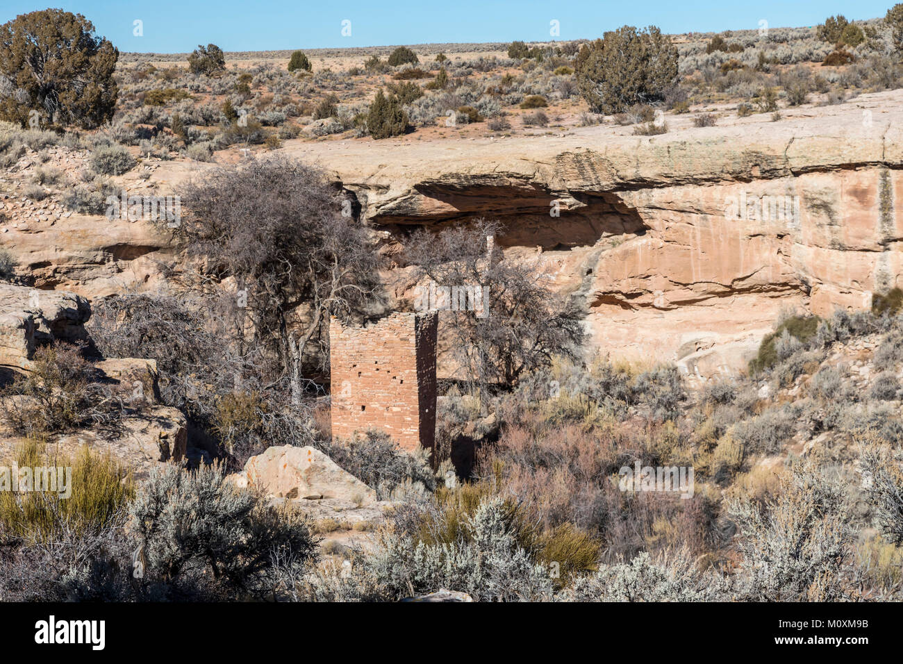 Hovenweep National Monument (Utah) - La Tour Carrée, partie de la ruines Anasazi situé autour de peu de ruiner Canyon. Le bâtiment de deux étages a un sligh Banque D'Images