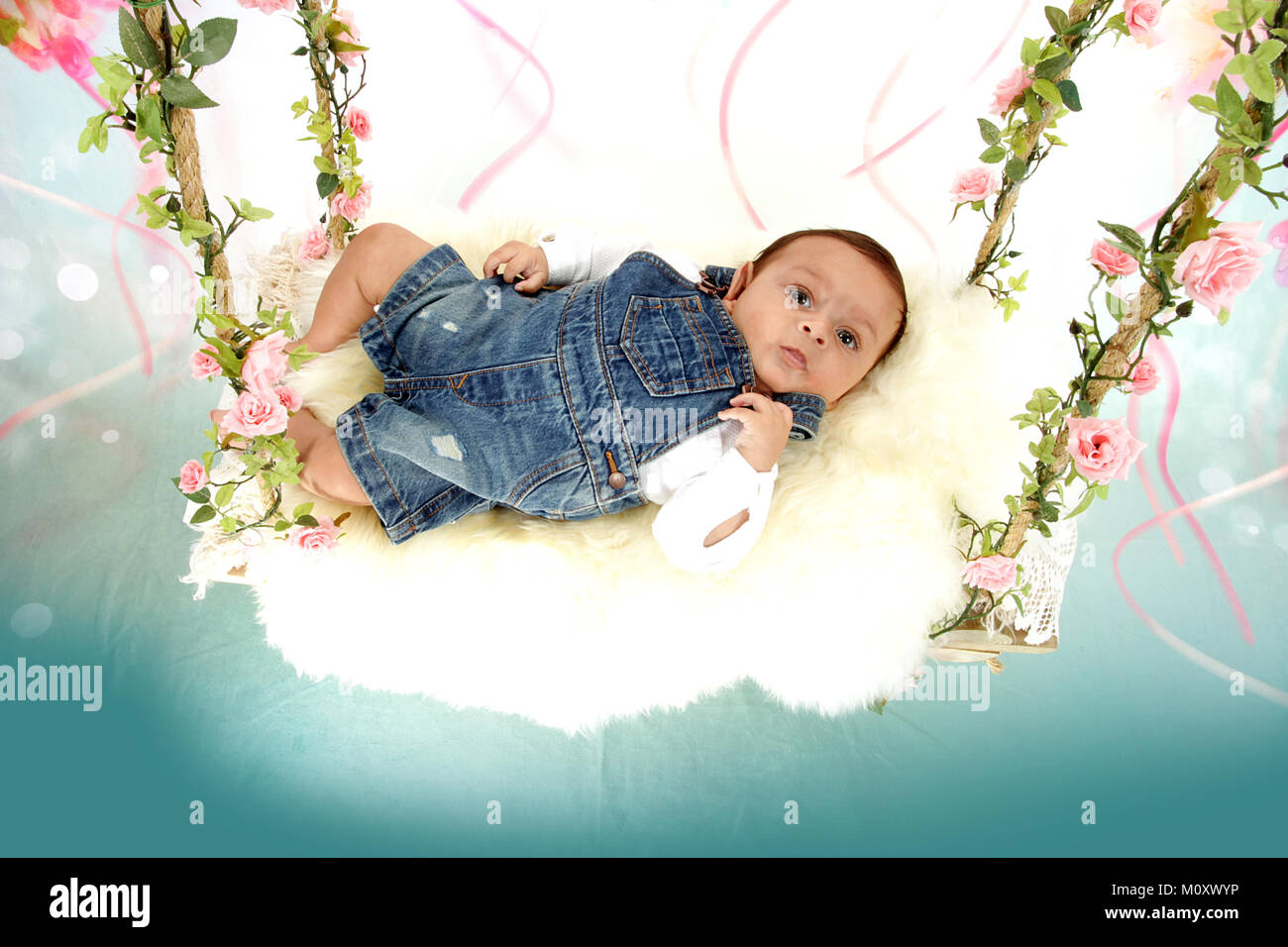 3 mois mixed race baby boy relaxing on swing Banque D'Images