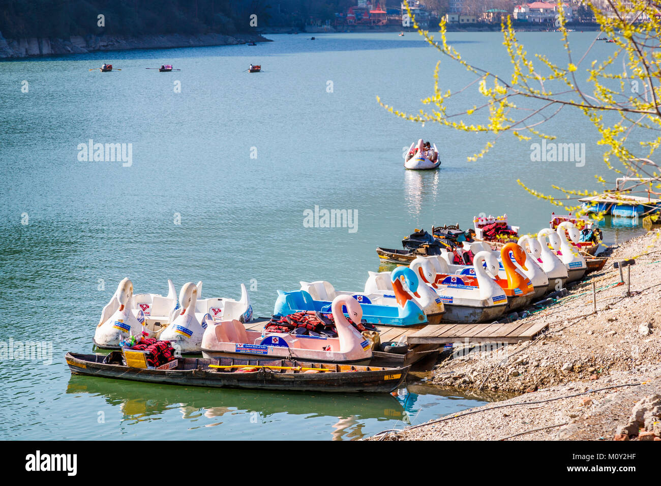 Les loisirs : l'aviron en bois colorés traditionnels bateaux amarrés sur la rive du lac de Nainital, Ayerpatta, Nainital Uttarakhand, Inde du nord Banque D'Images