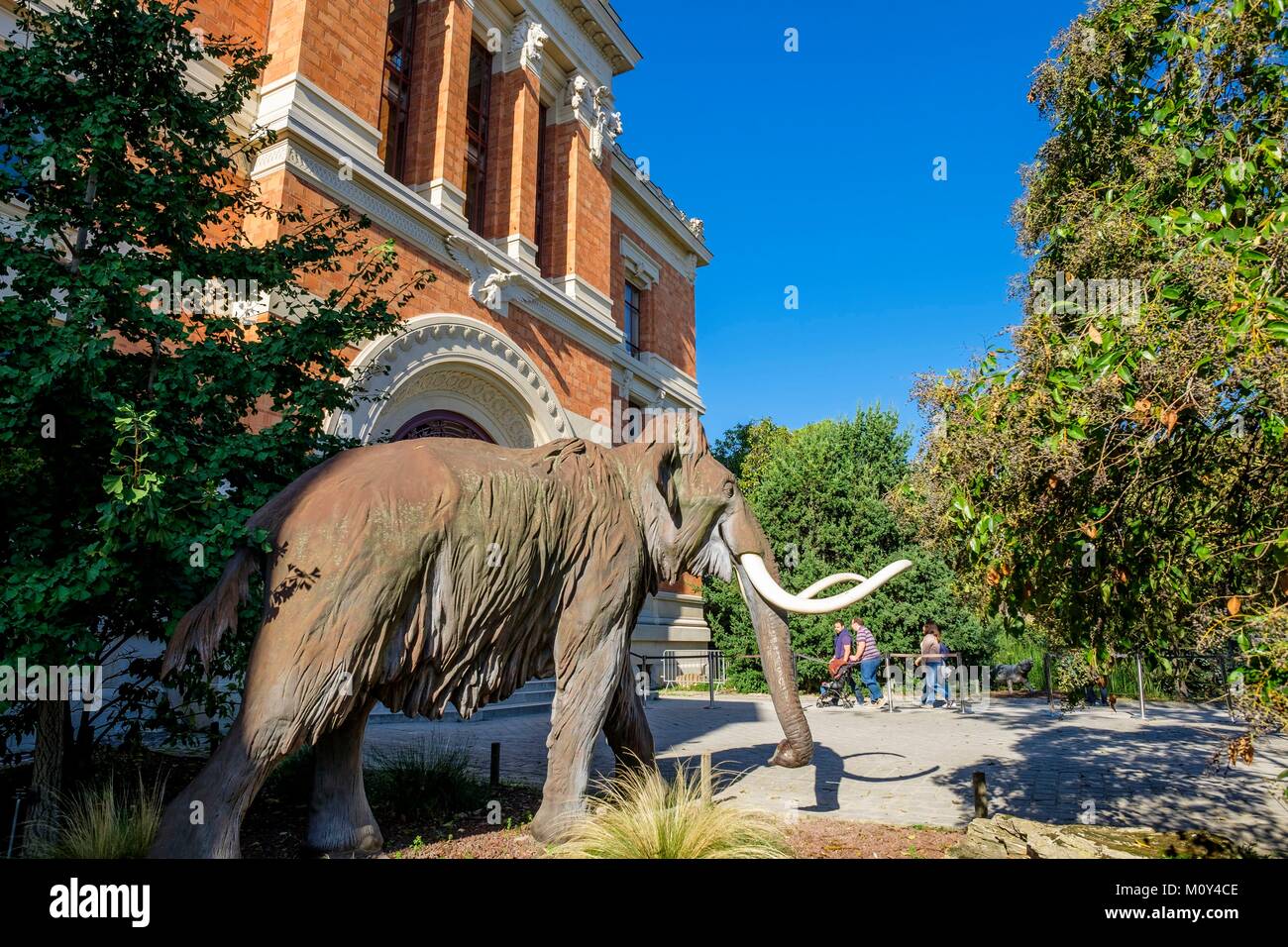 France, Paris, Jardin des Plantes, parc et jardin botanique Jardin public et le siège du Musée National d'Histoire Naturelle, Galerie de Paléontologie et d'Anatomie comparée Banque D'Images