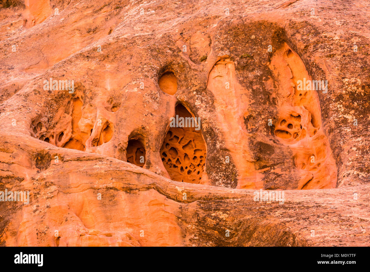 Fromage Suisse érodé de façon unique des niches dans le Red Rock Canyon Long de ligne de formations sur le sentier en Staircase-Eascalante Burr Grand National Monument (Utah) Banque D'Images